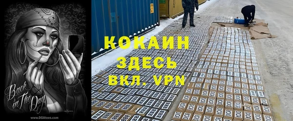 a pvp Новозыбков
