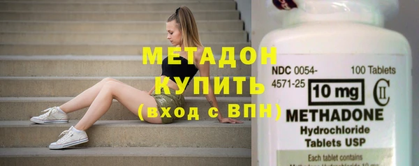 прущие грибы Болотное