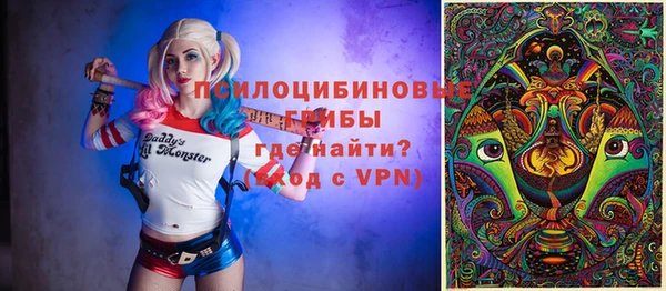 a pvp Новозыбков