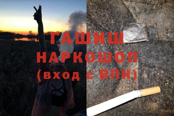a pvp Новозыбков