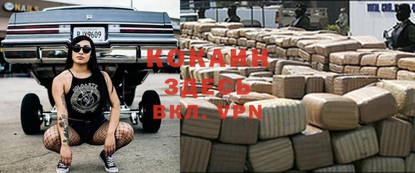 a pvp Новозыбков