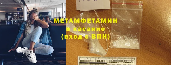 прущие грибы Болотное