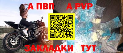 сатива Гай