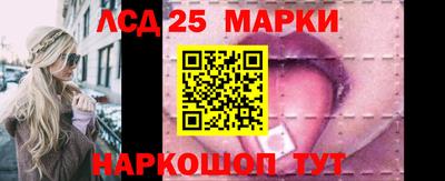 mdpv Гатчина