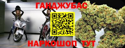сатива Гай