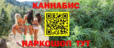 сатива Гай