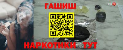 сатива Гай