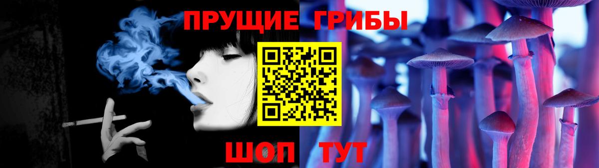 Псилоцибиновые грибы GOLDEN TEACHER  Вход с VPN  Миллерово 