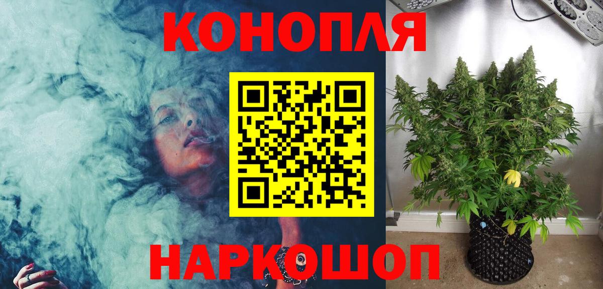 Конопля план Миллерово